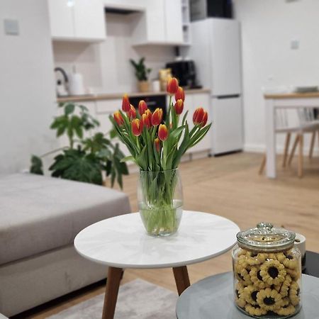 Apartament Na Skalkach Jelenia Góra Eksteriør billede